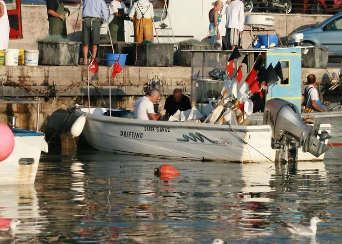 Vendégház Ral 7039 Numana