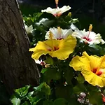 Guest house Ral 7039 Numana