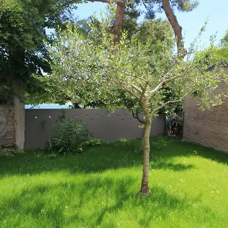 Ral 7039 Vendégház 4*