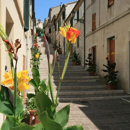 Ral 7039 Vendégház