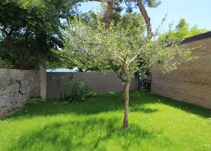 Ral 7039 Pensión 4*